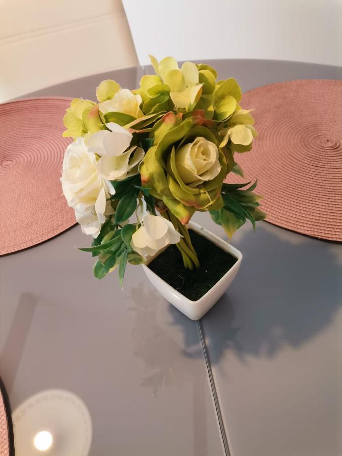 Dine Apartment 杜布罗夫尼克 外观 照片